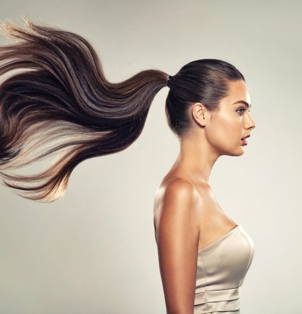 Profile portrait of a beautiful woman with a long  hair. Young  brunette model with  beautiful hair - isolated on white background. Young girl with straight hair flying in the wind.